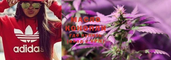 хмурый Бородино