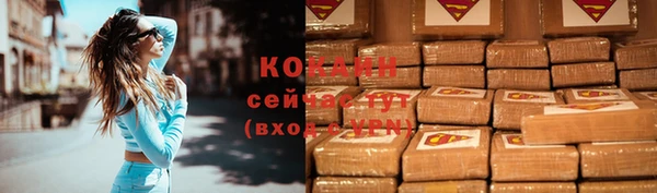 хмурый Бородино