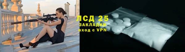 хмурый Бородино