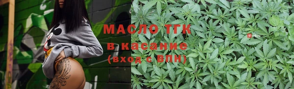 хмурый Бородино