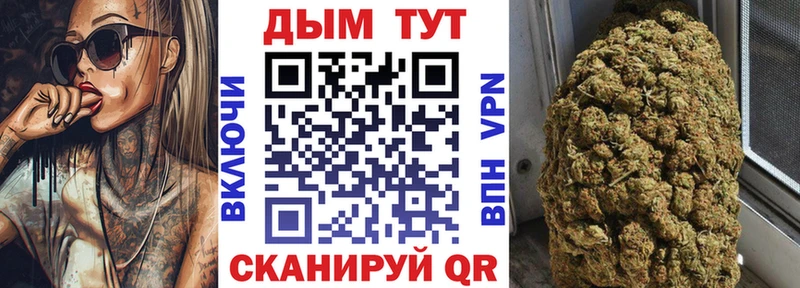 Бошки марихуана сатива Мосальск